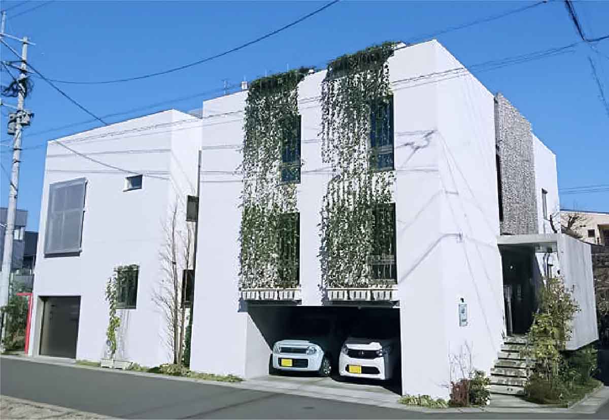 WHITE CUBE